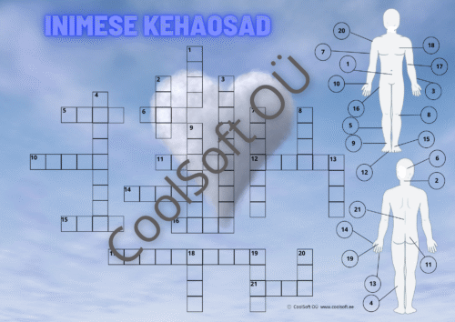 Inimese kehaosad – ristsõna ja pildiga tööleht lastele