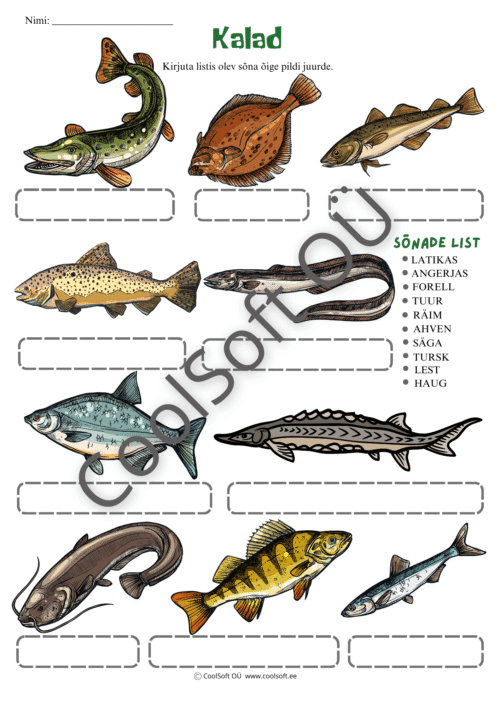 Kalade tööleht, kus laps kirjutab kalade nimetused vastavate piltide juurde.
