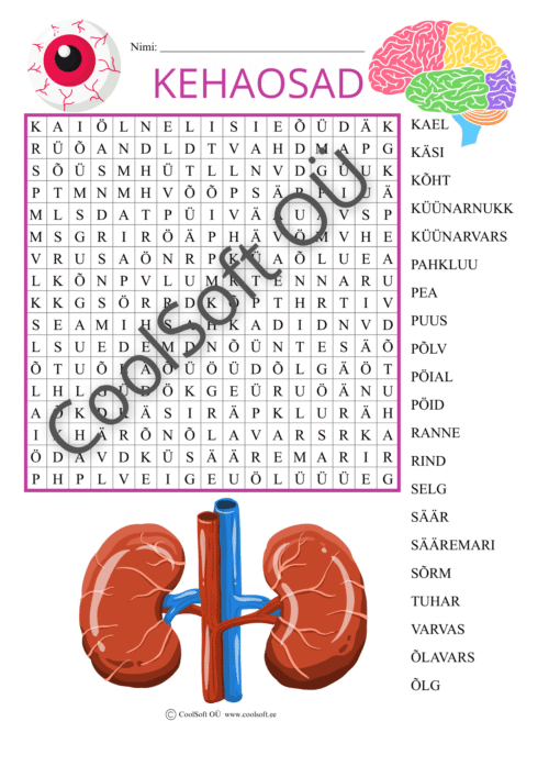 Kehaosade sõnaotsingu tööleht lastele koos illustratsioonidega