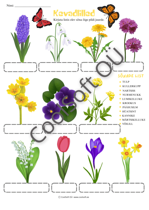 Kevadlilled – piltidega sõnavara tööleht lastele