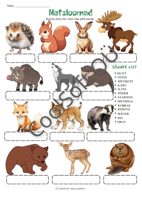 Metsloomade tööleht, kus laps kirjutab sõnaloendis olevad loomade nimetused õigete piltide juurde