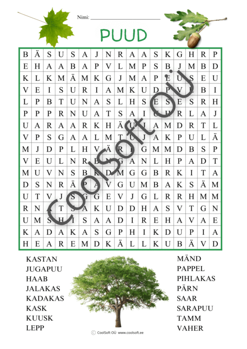 Puude teemaline sõnaotsingu tööleht lastele koos puuillustratsioonidega