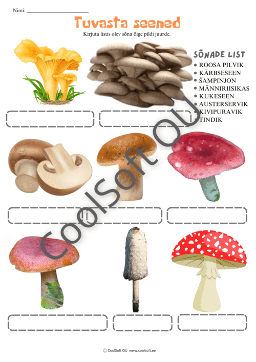 Tööleht „Tuvasta seened”, kus laps kirjutab seente nimetused vastavate piltide juurde