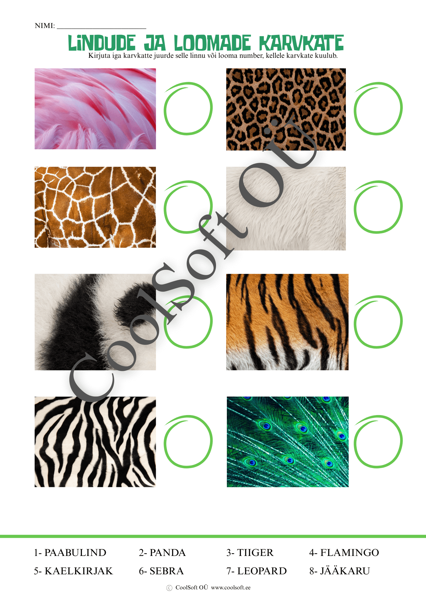 lindude-ja-loomade-karvkatted-tooleht Lindude ja loomade karvkatete tööleht, kus laps peab sobitama karvkatte pildi õige looma või linnuga.