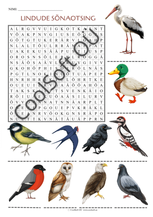 Tööleht „Lindude sõnaotsing“ – piltidel on kümme erinevat lindu, kelle nimetused tuleb leida täherägastikust. Arendab tähelepanu ja loogikat. 🕊️