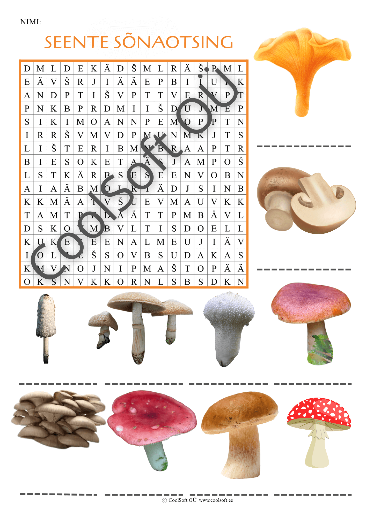 seente-ristsona Tööleht „Seente sõnaotsing“ – lastele mõeldud harjutus, kus tuleb leida sõnaruudustikust erinevate seente nimetused. 🍄