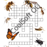 Tööleht „Putukate ristsõna“, kus lapsed täidavad ristsõna, kirjutades õigete piltide juurde putukate nimetused – näiteks mesilane, lepatriinu ja liblikas. 🦋🐝