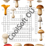 Tööleht lastele – seente ristsõna, kus tuleb piltide järgi leida õiged seente nimetused ja kirjutada need lahtritesse. 🍄✏️