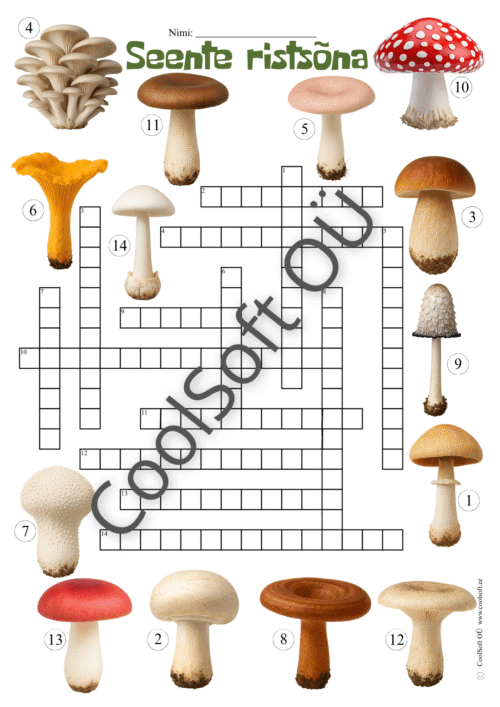 Tööleht lastele – seente ristsõna, kus tuleb piltide järgi leida õiged seente nimetused ja kirjutada need lahtritesse. 🍄✏️