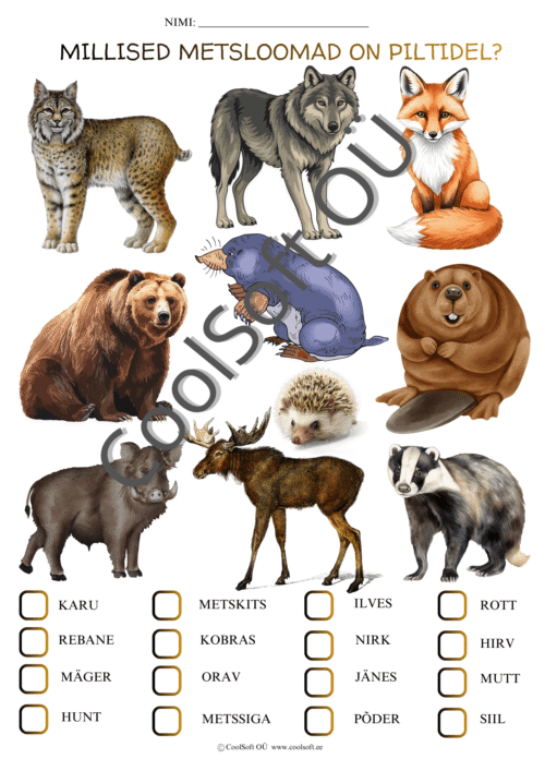Metsloomade tööleht piltidega, kus lapsed peavad valima õige loomanime iga kujutatud metslooma juurde.