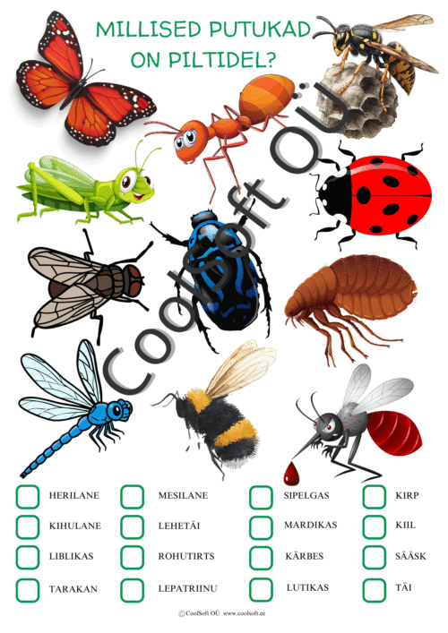 Putukate õppimistööleht lastele, kus tuleb piltide järgi tuvastada ja märkida õiged putukate nimetused.