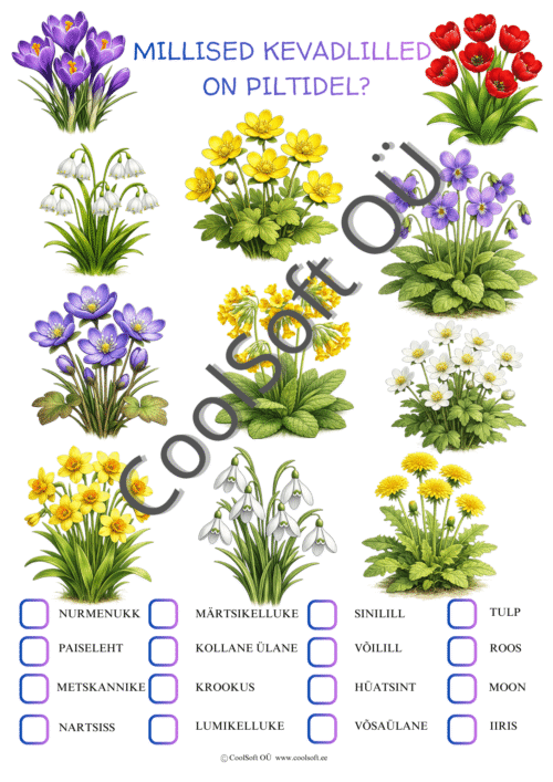 Kevadlilled piltidel – õpetlik tööleht lastele kevadlillede tundmaõppimiseks