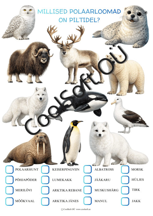 Polaarloomade tööleht realistlike loomapiltidega – jääkaru, morsk, keiserpingviin, polaarhunt ja teised