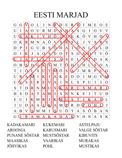 Eesti marjade sõnaotsing lastele, kus tuleb leida sõnu nagu maasikas, mustikas, vaarikas ja jõhvikas
