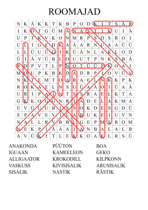 Roomajate sõnaotsingu lahenduskäik